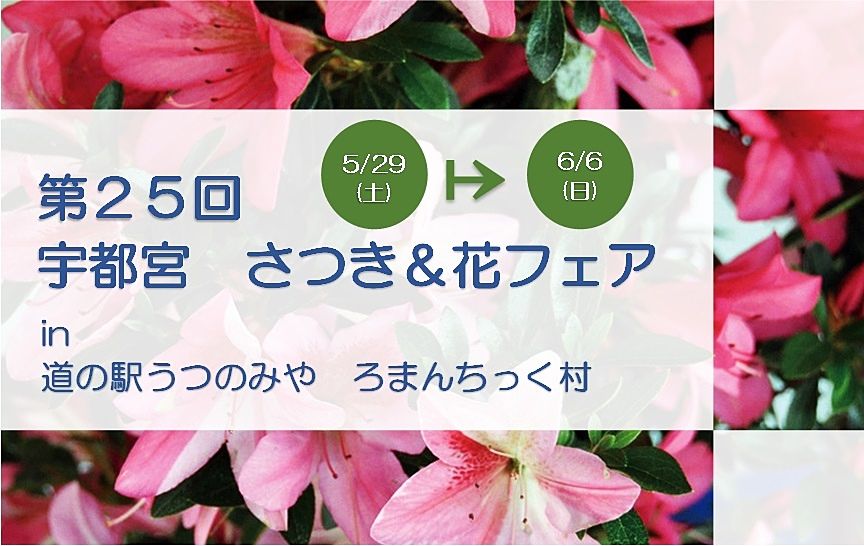 5月29日(土)～6月6日(日)☆第25回宇都宮さつき＆花フェア、開催しますヾ(≧▽≦)ﾉ